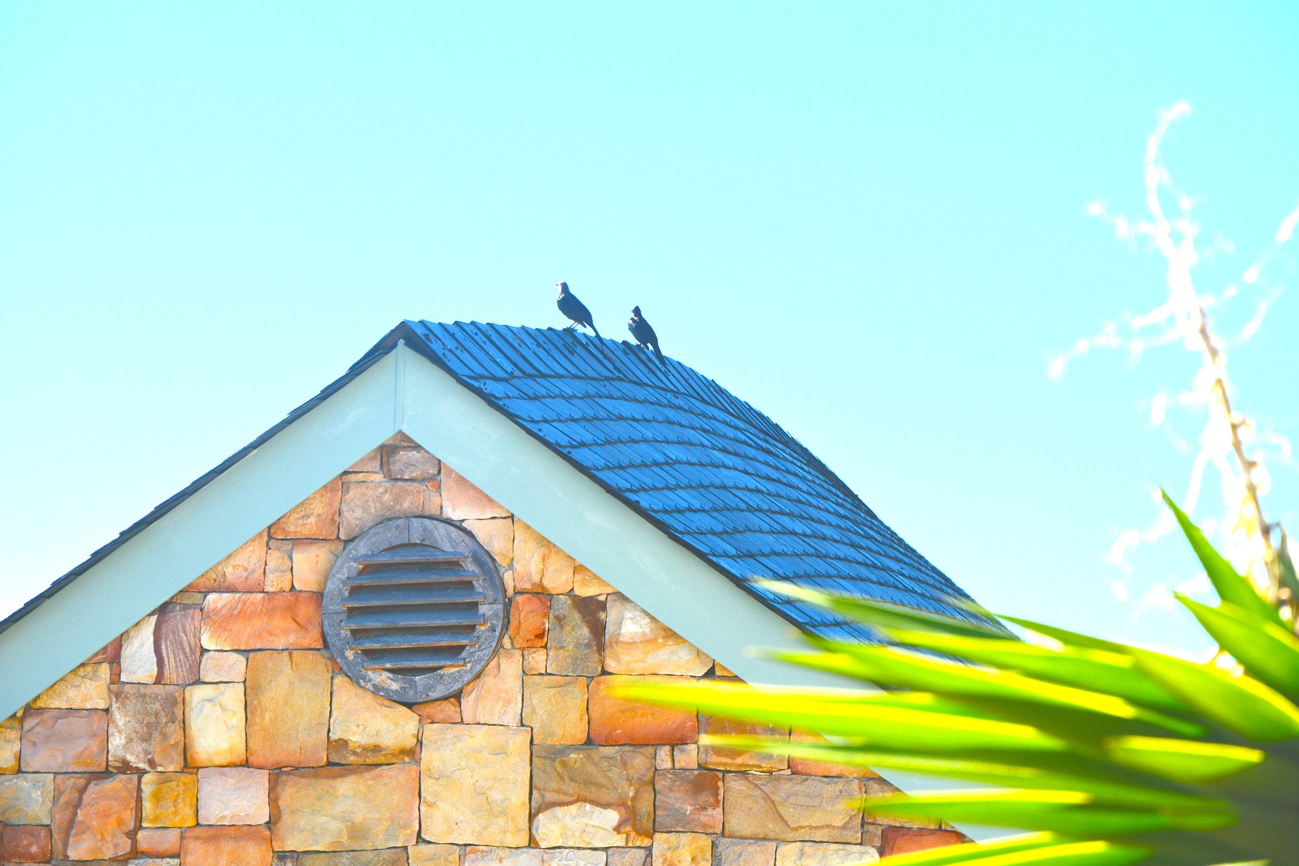 Designing Creatively with Curves